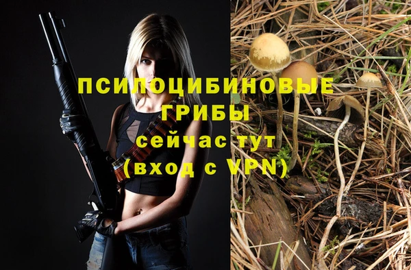 молекула духа Алексин