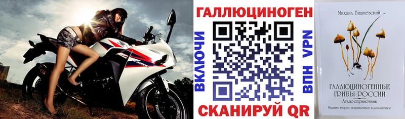 площадка клад  Томмот  Псилоцибиновые грибы MAGIC MUSHROOMS 