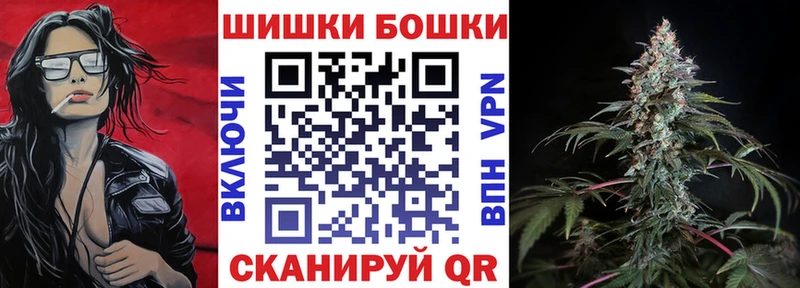 купить цена Томмот Шишки марихуана гибрид